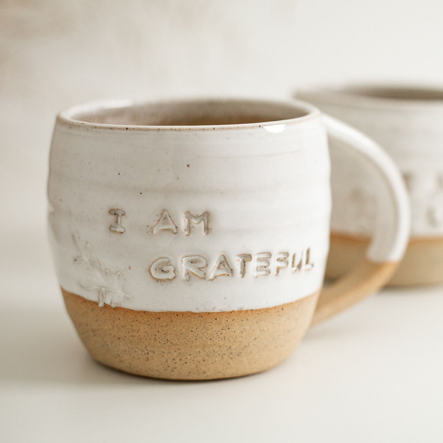 I Am Grateful Regular Mug | Pre-order